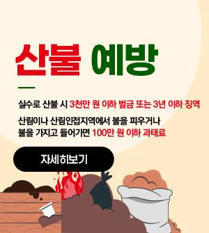 산불 예방 실수로 산물 시 3천만원 이하 벌금 또는 3년 이하 징역 산림이나 산림안접지역에서 불을 피우거나 불을 가지고 들어가면 100만원 이하 과태료  자세히보