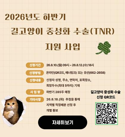 하반기 길고양이 중성화 수술 지원사